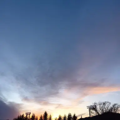 Profile image of れい