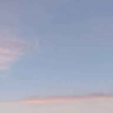 Profile image of りあな