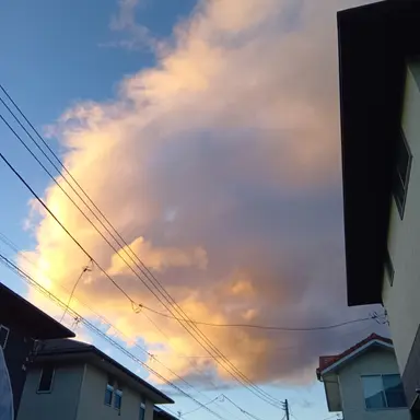 Profile image of あんじ