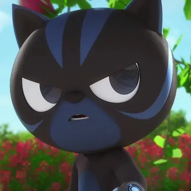 Profile image of Rio