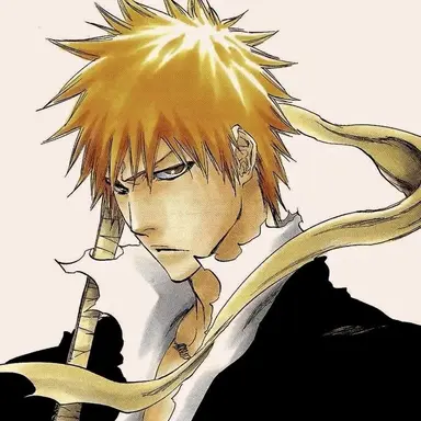 Profile image of 黒崎 一護