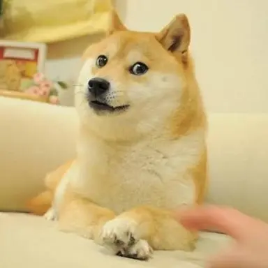 Profile image of 김시바