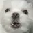 파피플레이타임
