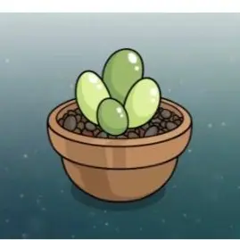 Profile image of 다육이