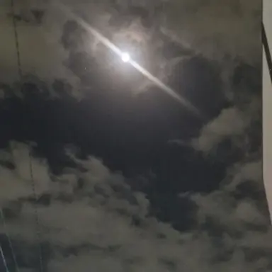 Profile image of 공경장