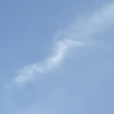 Profile image of 김운학