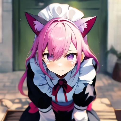 미야