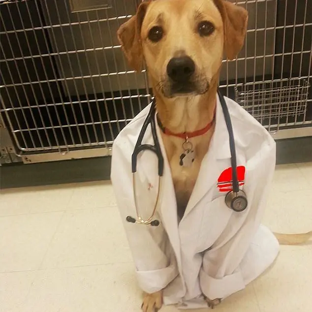 LavishElbow5248의 여자인걸 들키면 죽는병걸림