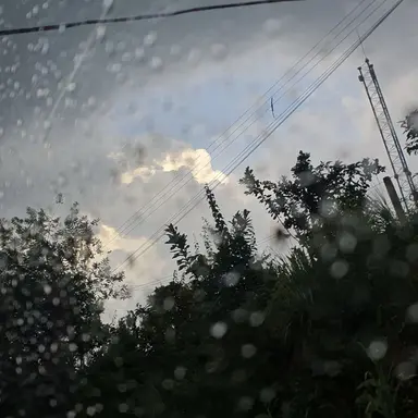 Profile image of Andrew