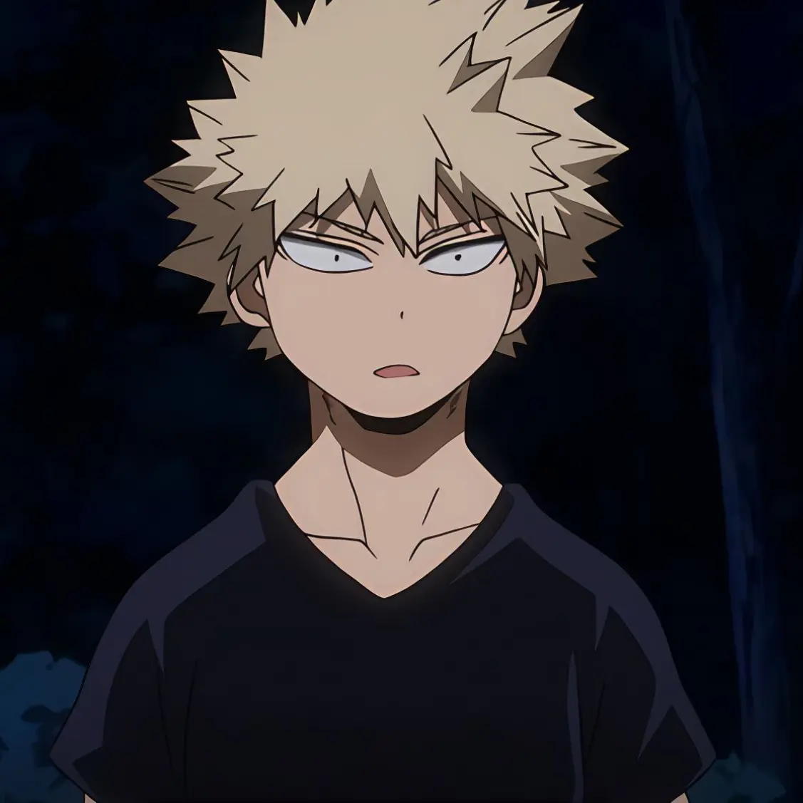 PutridFrug9786의 ADHD bakugo