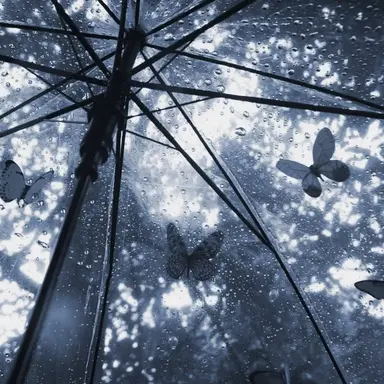 Profile image of 파이브