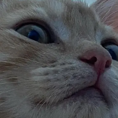 Profile image of 당신