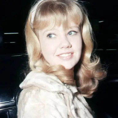 Profile image of Nancy Wart