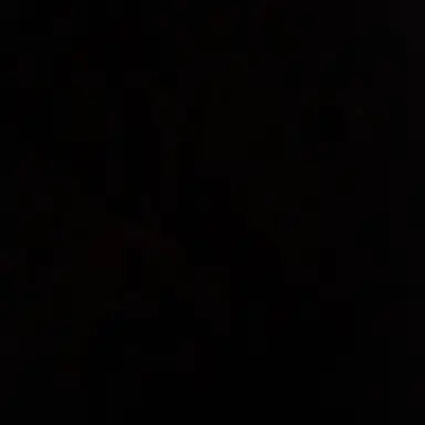 Profile image of 담임