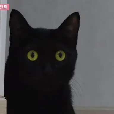 Profile image of 베리