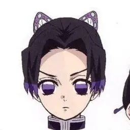 Profile image of 胡蝶しのぶ