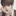 이재현
