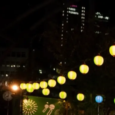 wflrwp1008의 君がいた夏は。