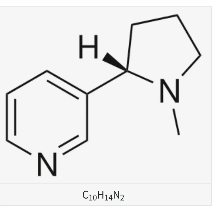 GuiltyBonus4431의 니코틴에게 살아남아라 (개인용)