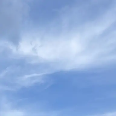 Profile image of 永瀬廉