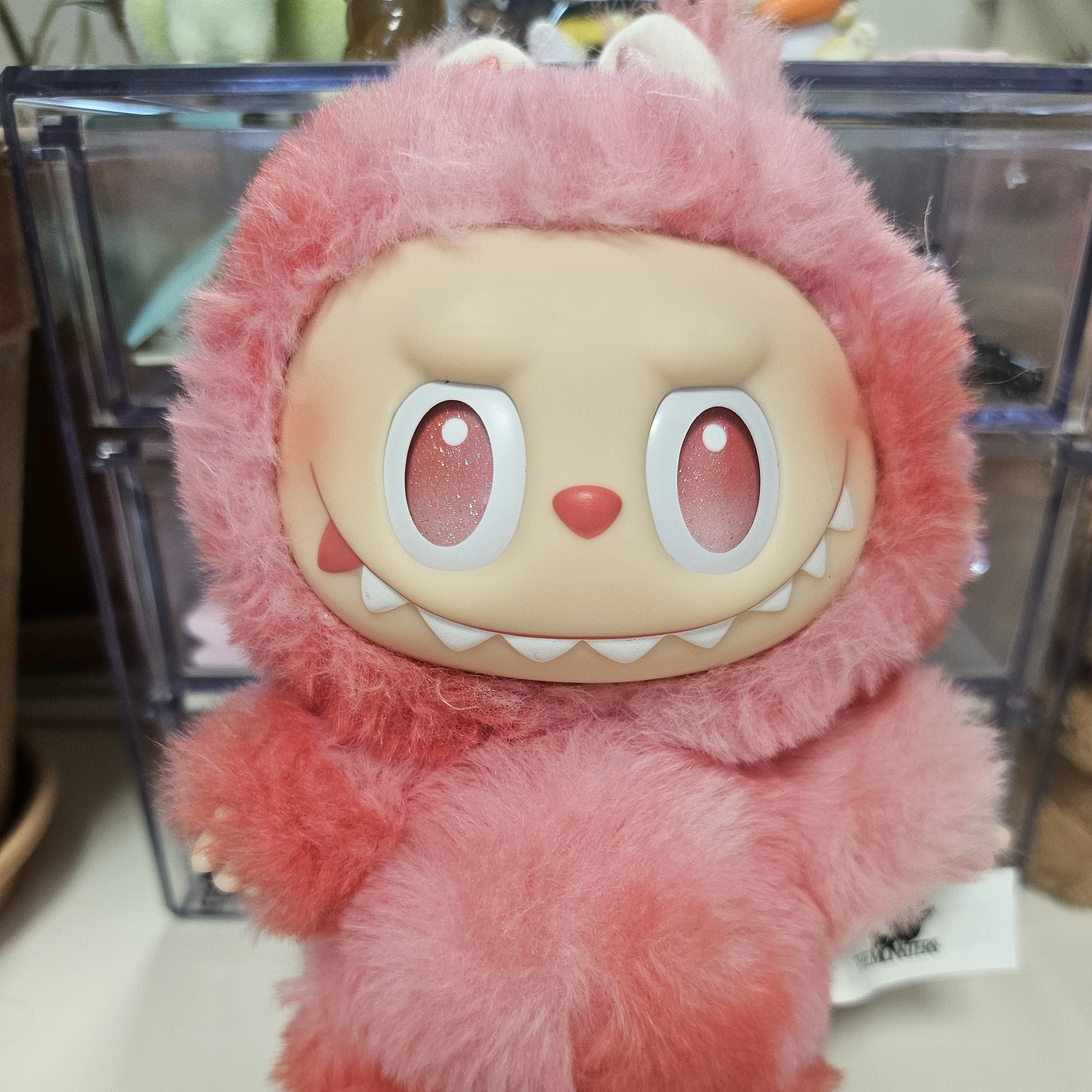 러브