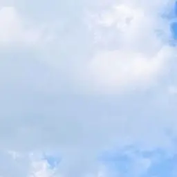 Profile image of 이상혃