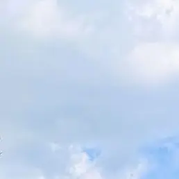 Profile image of 김동혅