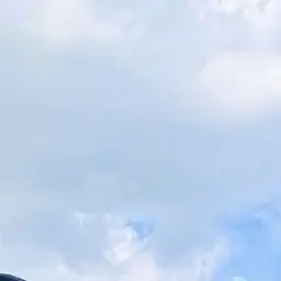 Profile image of 한동믽