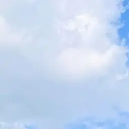 Profile image of 예지