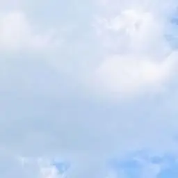 Profile image of 김운핛