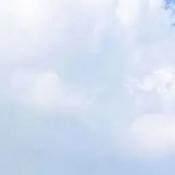 Onedoor.skrrrrrrrrr의 F6