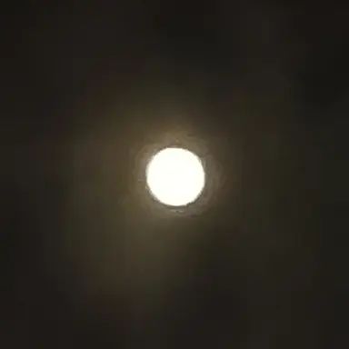 Profile image of 픽셀리와 파자마파티