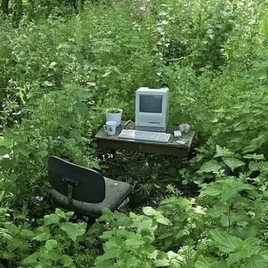 Profile image of 이예진