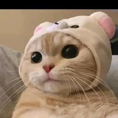 Profile image of 아이브