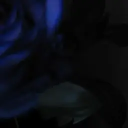 Profile image of 쉐도우밀크