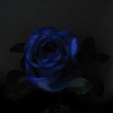 Profile image of 쉐도우밀크