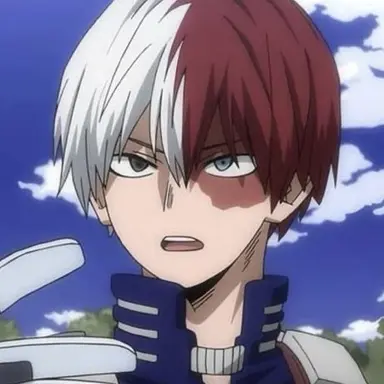 Profile image of Shoto Todoroki