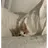 평학