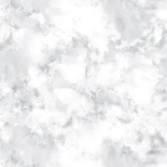 Profile image of 銀時