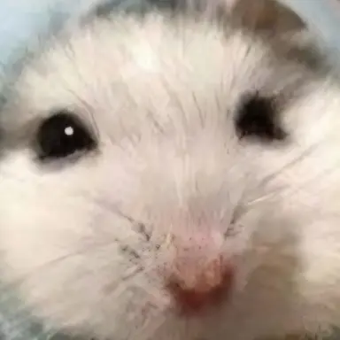 Profile image of 바비  월래안귀여움