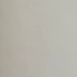 지호