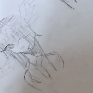 Profile image of 벨키