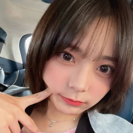 시연