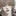 박은후