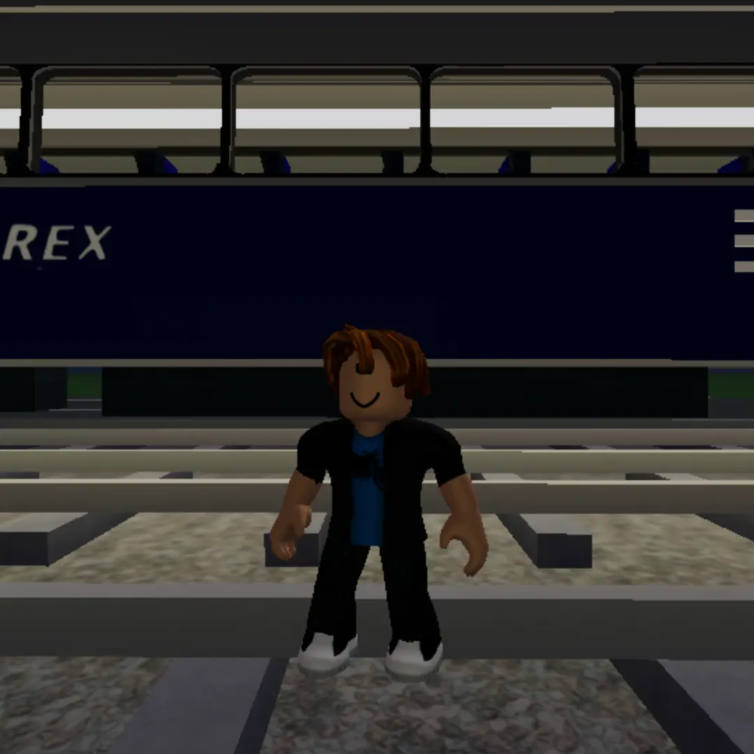 SillySpice0024의 출입문 안전사고