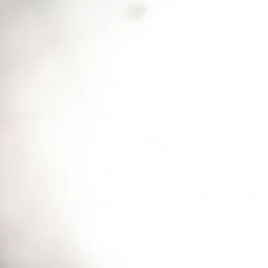 Profile image of しぃ