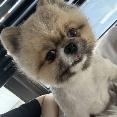 Profile image of 건우