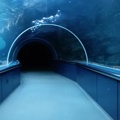 Profile image of ブルロメンバー