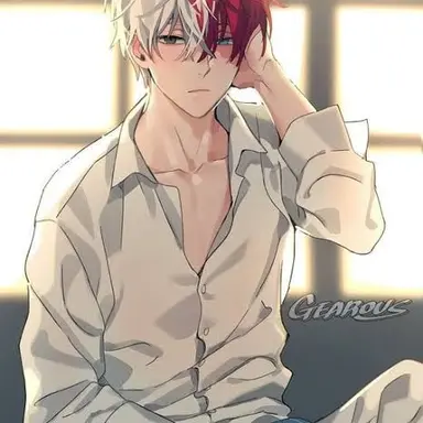 Profile image of Shoto Todoroki