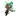 민트초코 쿠키
